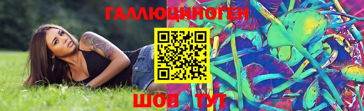 Лобня  Псилоцибиновые грибы Psilocybine cubensis  Вход с VPN 