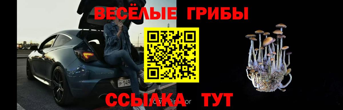 Псилоцибиновые грибы GOLDEN TEACHER Лобня